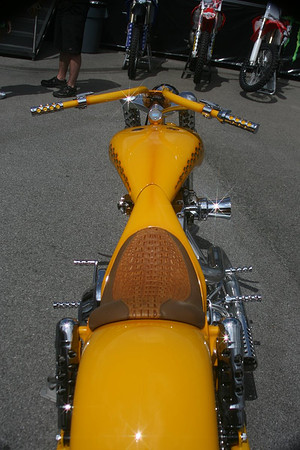 IMG_3376.jpg
