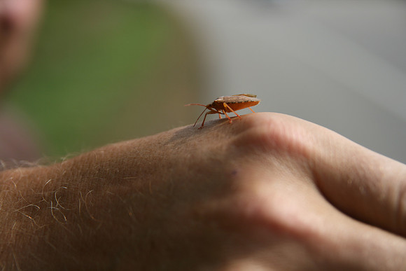 IMG_2735.JPG
