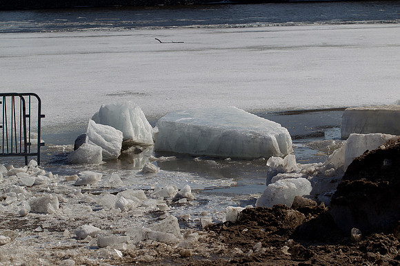 IMG_0003